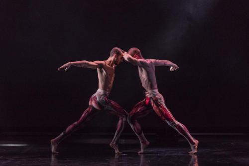 BalletBoyz-Fourteen-Days.-Photo-Credit-Panayiotis-Sinnos-12