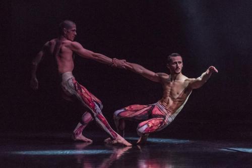 BalletBoyz-Fourteen-Days.-Photo-Credit-Panayiotis-Sinnos-14